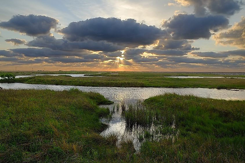 Sunrise Sea Rim State Park, Texas.