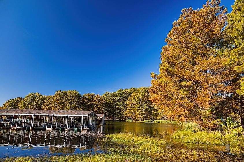 The Greenleaf State Park in Oklahoma.