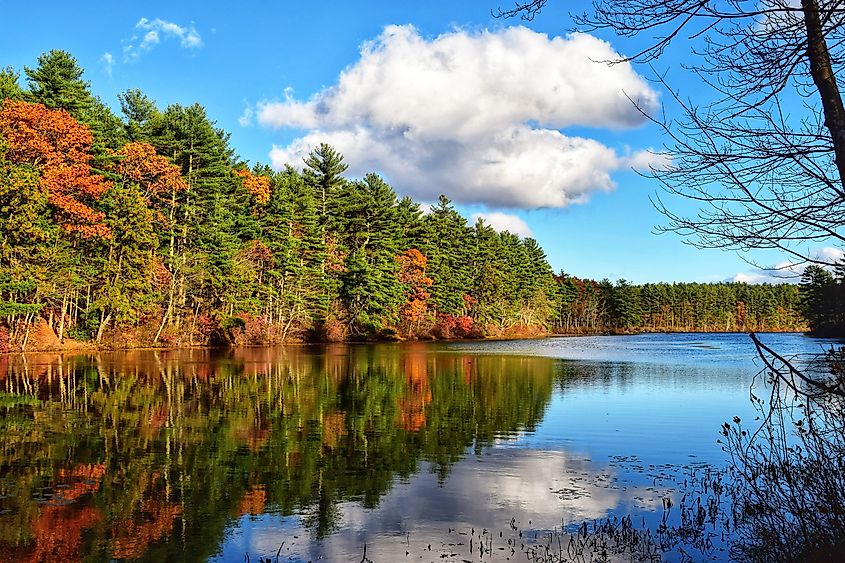 Tarbox Pond, West Greenwich, Rhode Island, sporting fall colors.