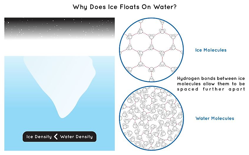 An Infographic diagram explaining why does ice float on water