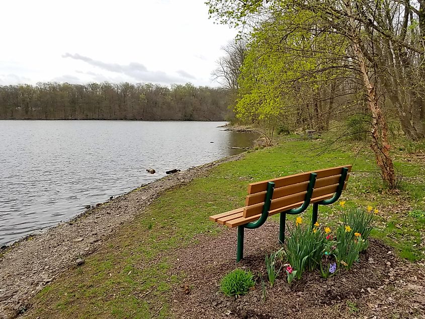 A bench overlooking the lake near Greenlane Reservoir, Pennsburg, Pennsylvania, U.S.A.