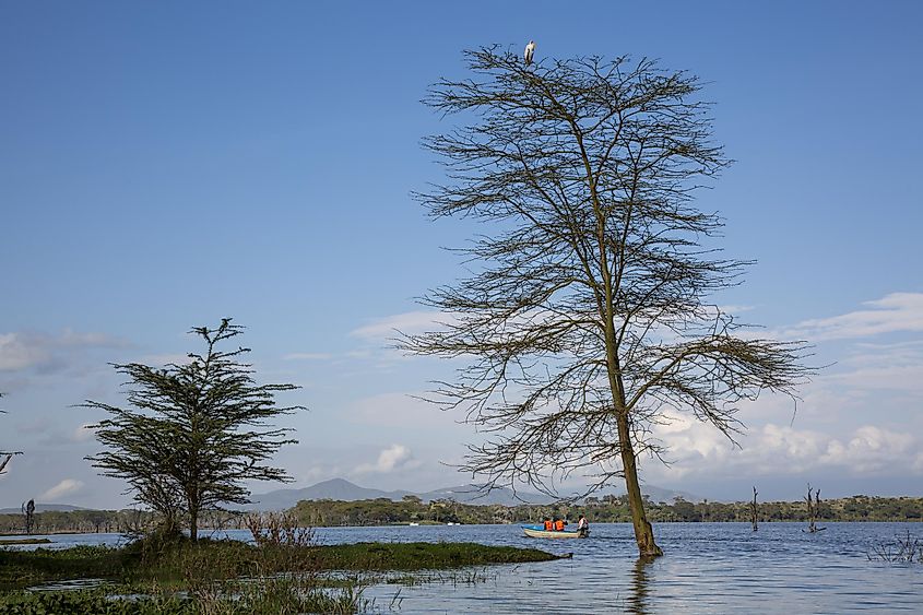 Lake Naivasha