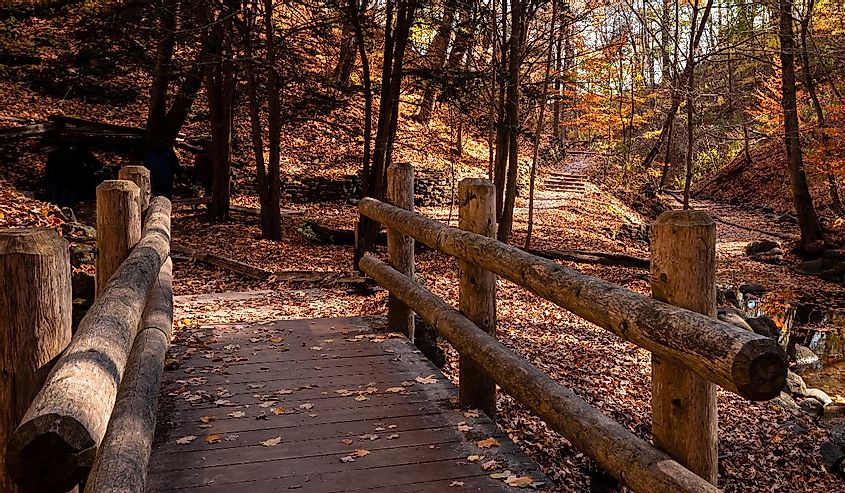 A wooden bridge with fallen leaves over the creek at Seven Bridges Park in South Milwaukee, Wisconsin