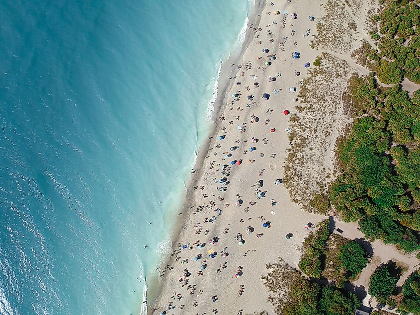 Aerial view of Venice Beach, Florida.