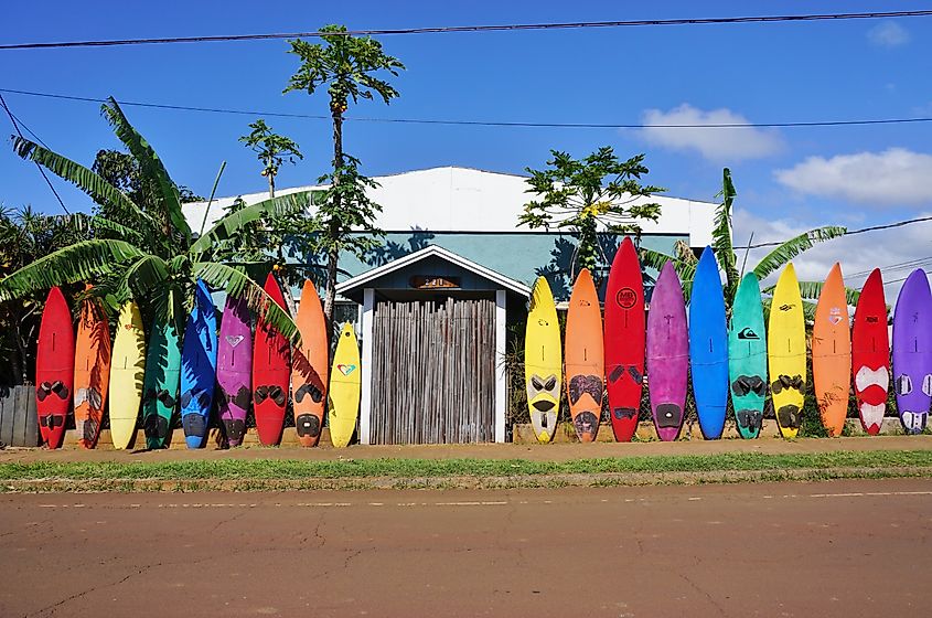 Colorful surfboards are lined up in the streets of Paia