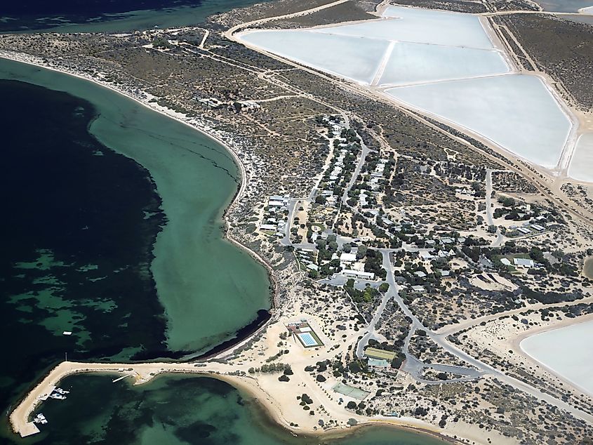 Aerial view of Useless Loop, Western Australia