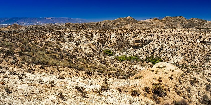 Tabernas Desert Nature Reserve