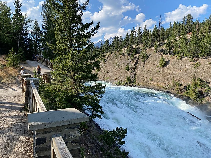 A forest trail leads past a roaring waterfall 