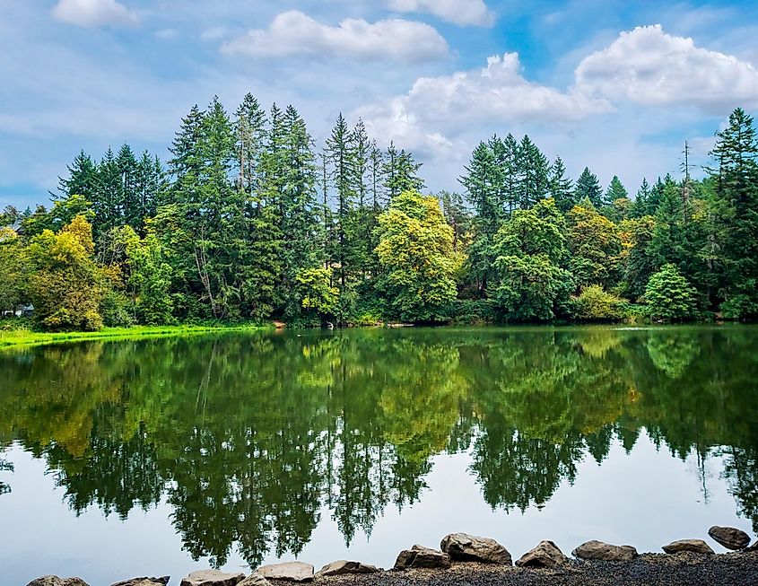 Sunny Round Lake in Camas Washington.