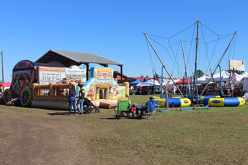 Big Pig Jig attraction in Vienna, Georgia