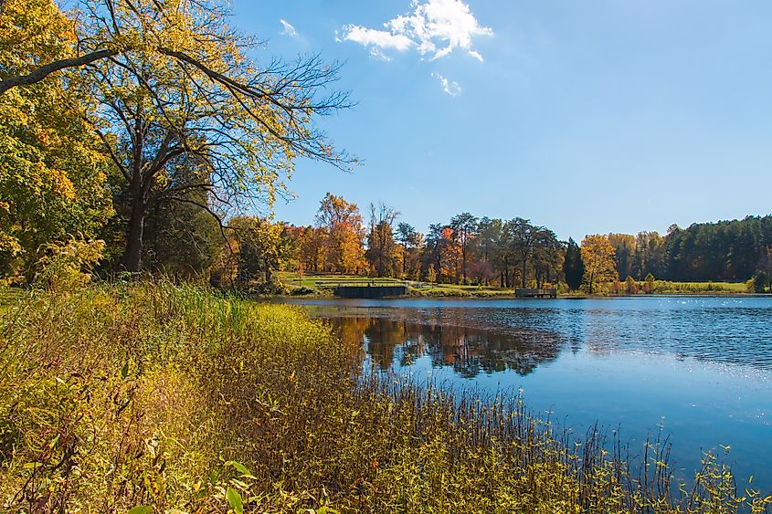 Bernheim Forest and Arboretum, KY.