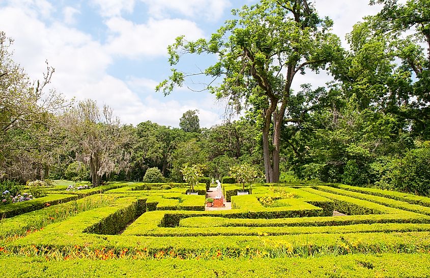 Hedge maze at Afton Villa Gardens.