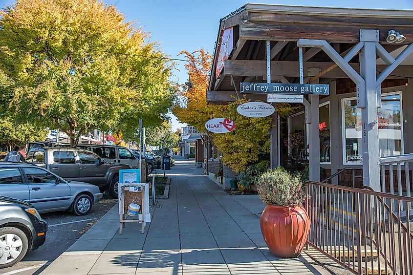 Traffic and urban life in the city of Bainbridge, via Michael Gordon / Shutterstock.com