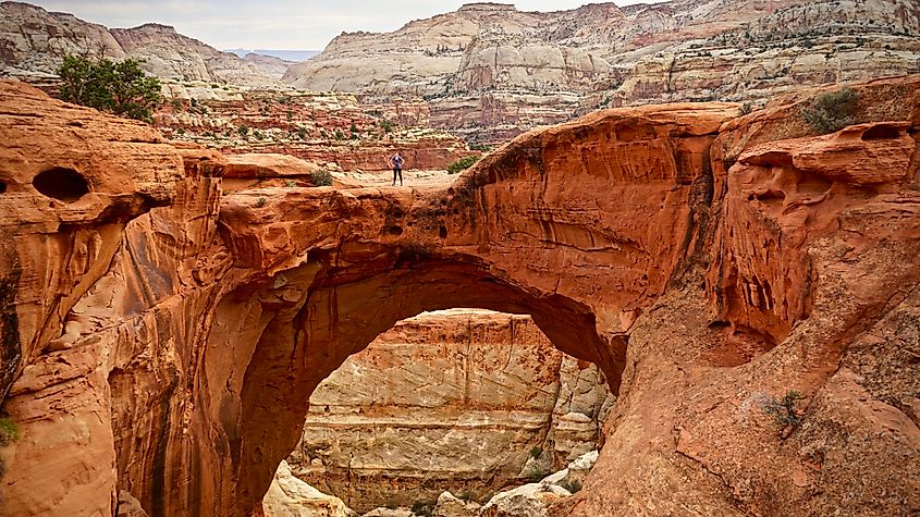 Stunning rock formations in the Capitol Reef National Park