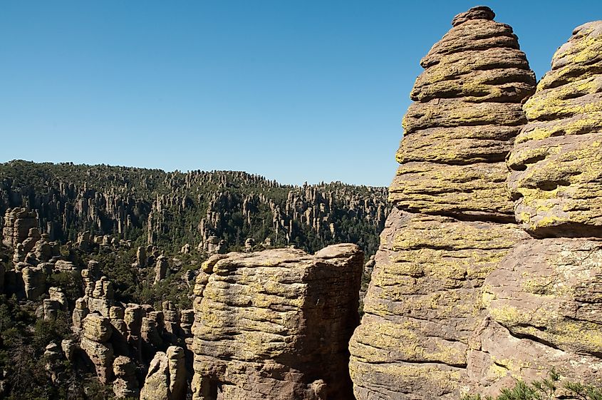 Chiricahua National Monument canyon of rock hoodoos, forest and yellow moss. Credit: Jeffrey M. Frank/Shutterstock.com