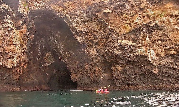 Animals That Live In Caves - WorldAtlas Animals That Live In Caves - WorldAtlas