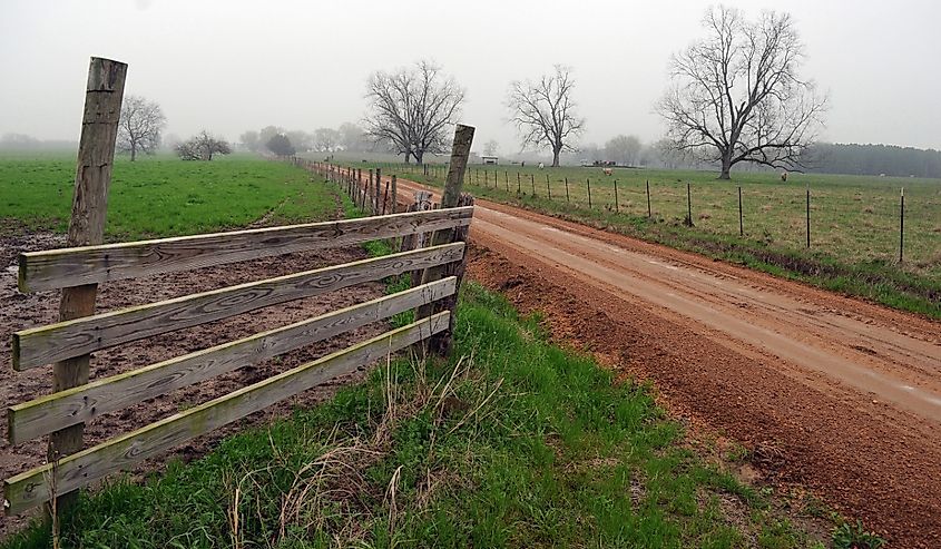 A dirt road leads to a farm in rural Mississippi near the city of Columbus.
