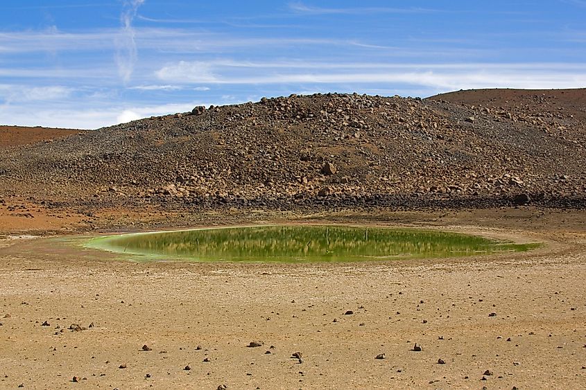 Lake Wai'au (highest lake in Hawaii)