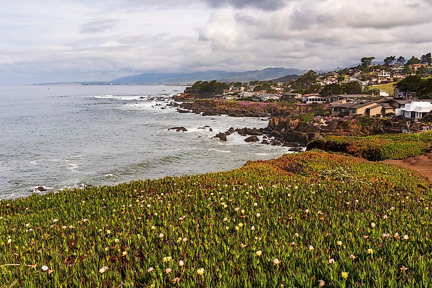 The beautiful coastline of Cambria, California.