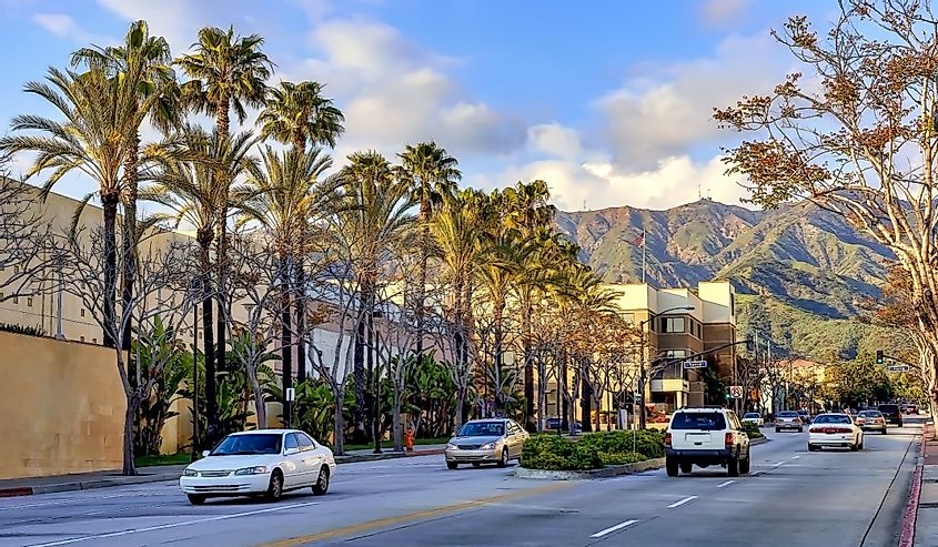 Street traffic and palm trees in the city of Burbank, California