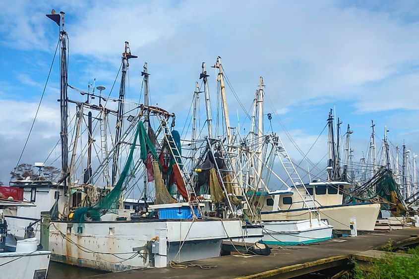 Row of shrimp boats in a commercial harbor in Apalachicola, Florida.