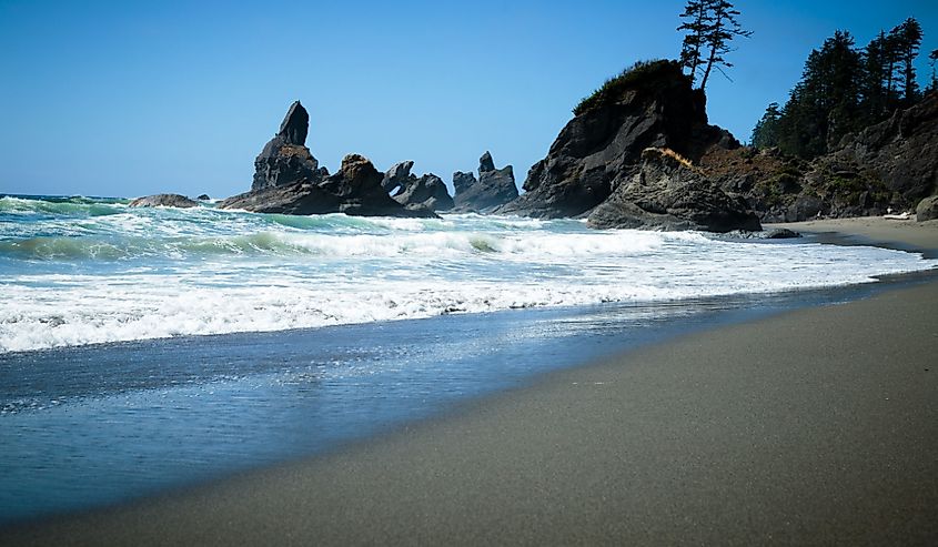 View of Olympic Peninsula beach