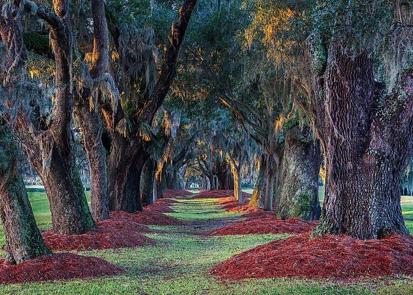 Sea Island Golf Club in Saint Simons Island, Georgia