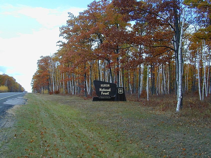Entrance to Huron National Forest from River Road Scenic Byway.