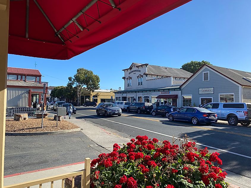 A quaint commercial main street as seen from a patio decorated in red flowers. 