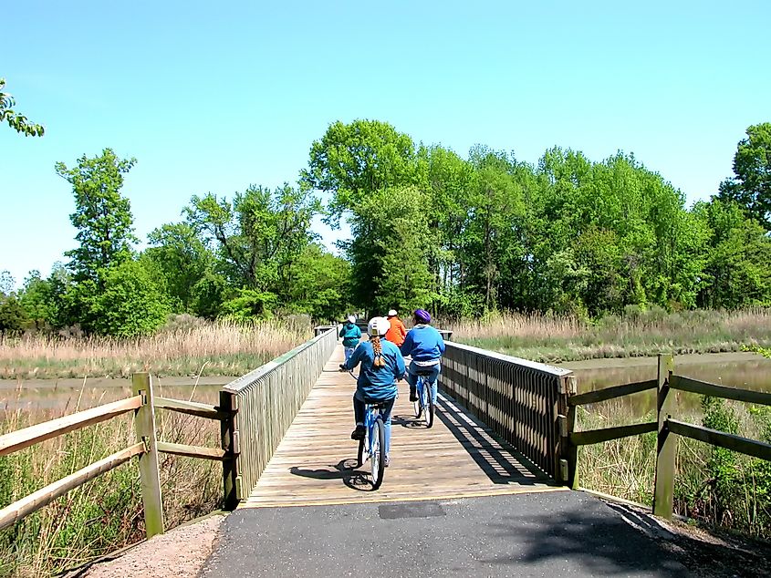 Kent Island, Queen Anne's County, Maryland, USA, Biking the Cross Island Trail, May 4, 2004.