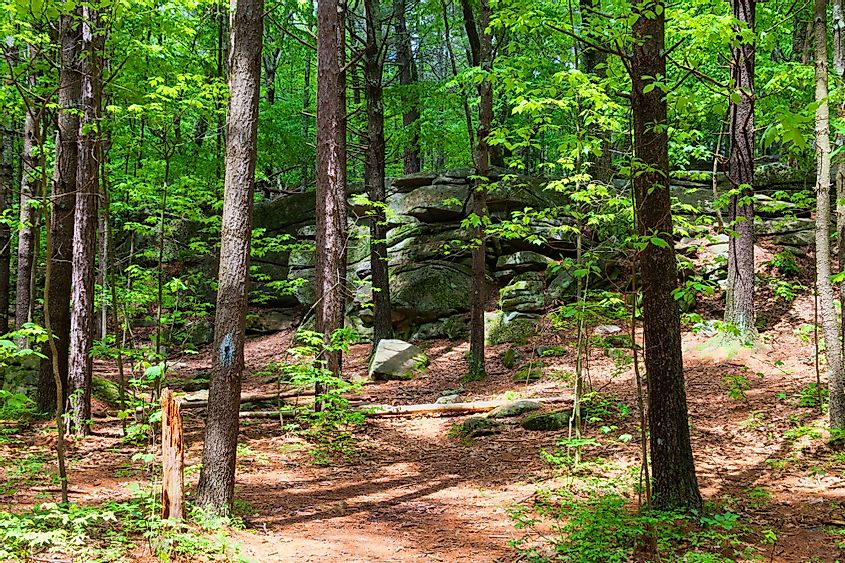A nature trail at Purgatory Chasm State Reservation in Sutton, Massachusetts. 