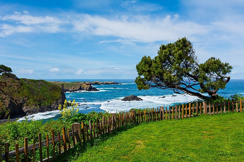 California Coast in Mendocino