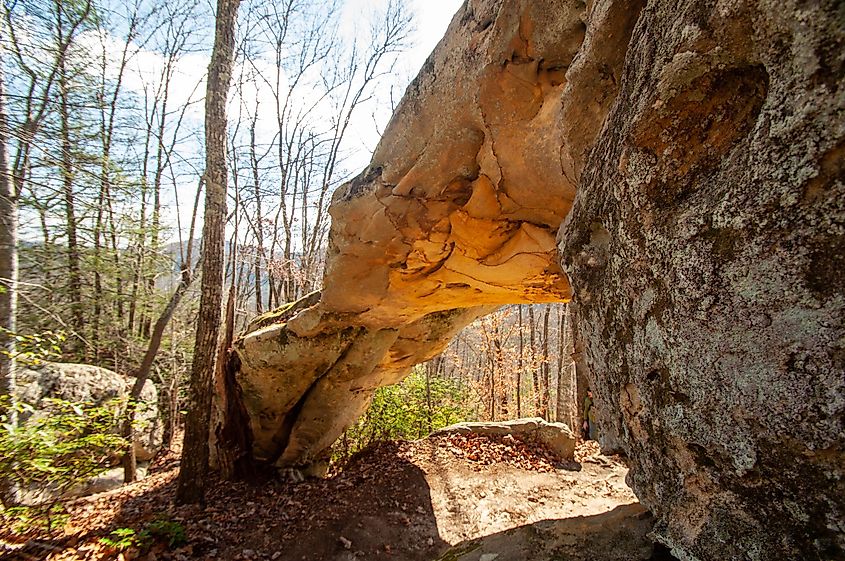 Pine Mountain State Resort Park near Pineville.