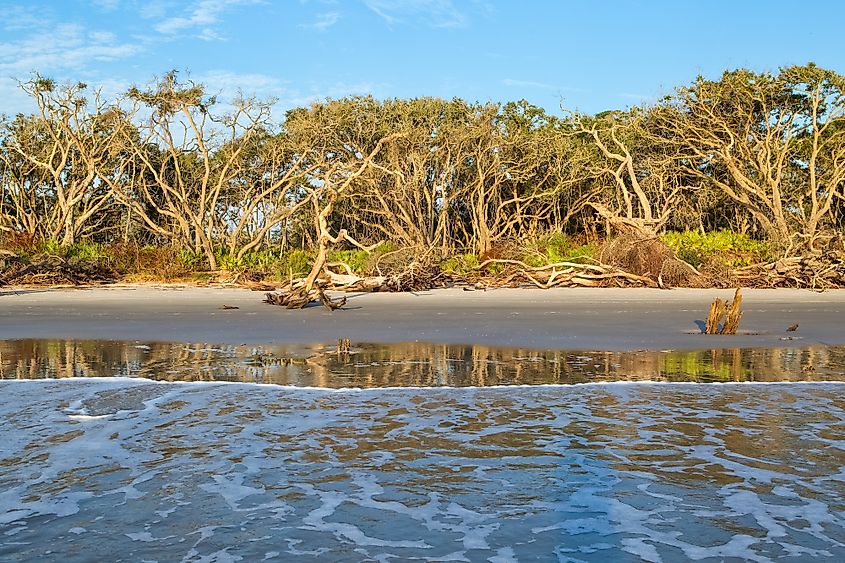 Jekyll Island