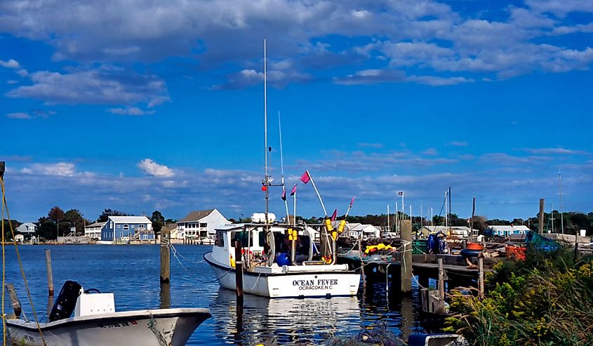 Fishing boats at dock in Ocracoke Village, Ocracoke Island, Outer Banks, North Carolina