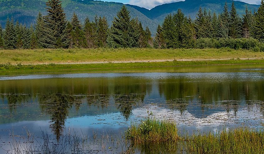 Pond in Gustavus, Alaska. Image credit Moelyn Photos via Adobe Stock.