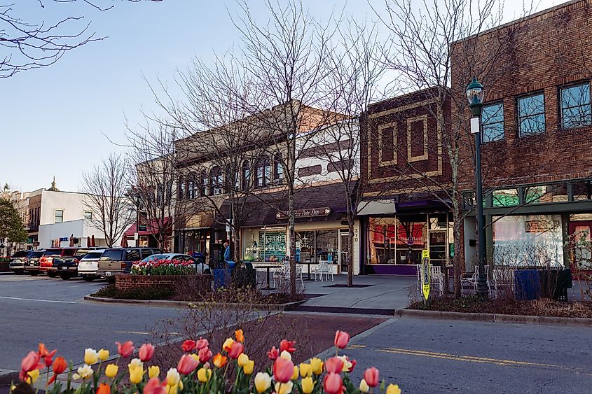  Rustic buildings in central Hendersonville, North Carolina. Image credit MILA PARH via Shutterstock