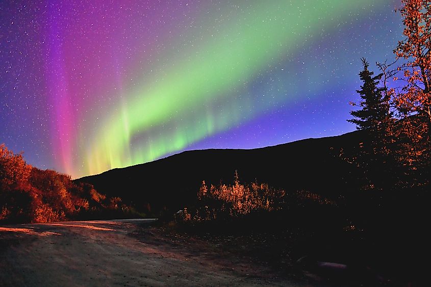 Northern lights appear in cloudless, starry night sky over moose creek and park road in Denali National Park, Alaska.
