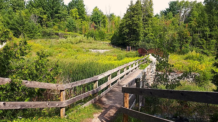 Scanlon Creek Conservation Area.