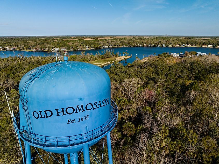 Aerial view of Homosassa from the water tower.