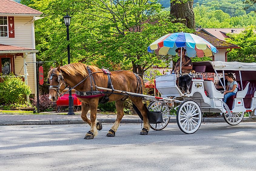 Brown draft horse pulling visitors in a carriage along main street in Helen, Georgia