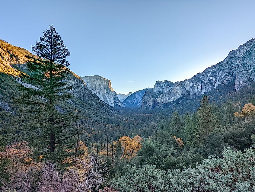 Yosemite National Park