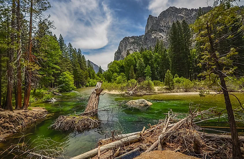 Kings River, California