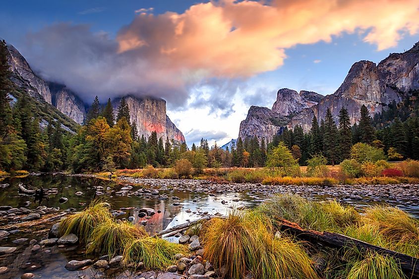 Gorgeous fall colors in Yosemite National Park, California.