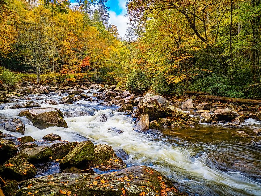 Fall color around small waterfalls in the Cullasaja River in Nantahala National Forest between Franklin and Highlands, North Carolina.