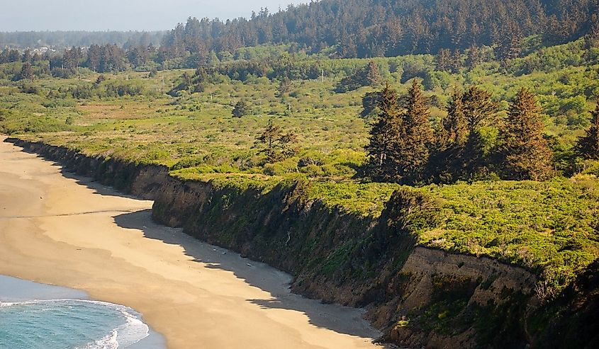 Beauitful Coastline at Redwood National Park