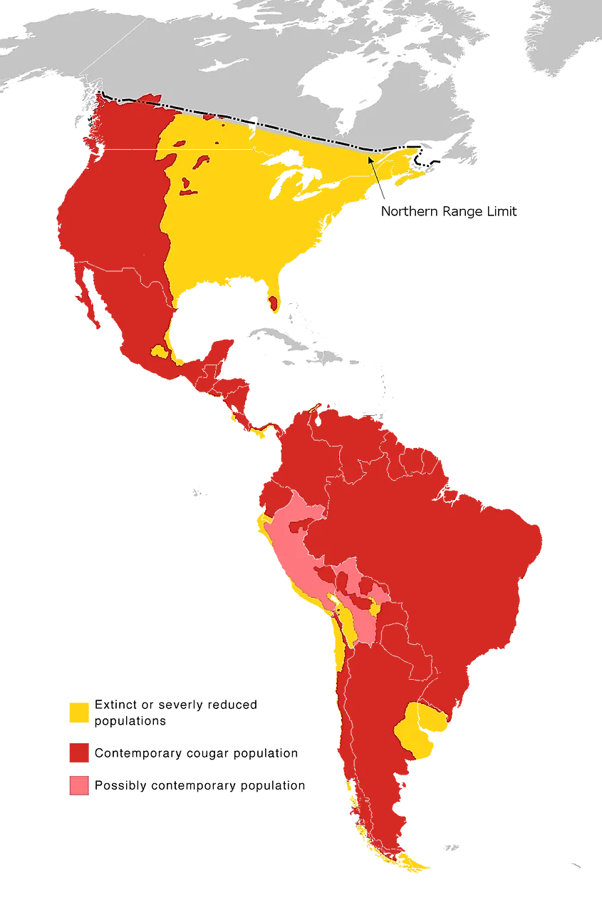 Mountain lion range map