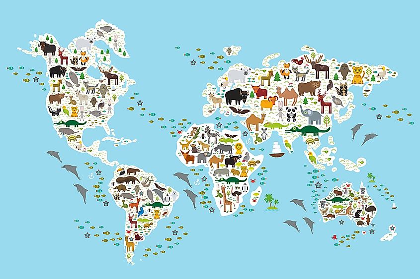 15 Animals Who are No Longer Endangered - WorldAtlas 15 Animals Who are No Longer Endangered - WorldAtlas