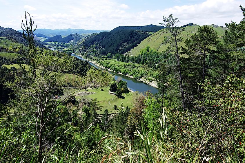 Whanganui river view