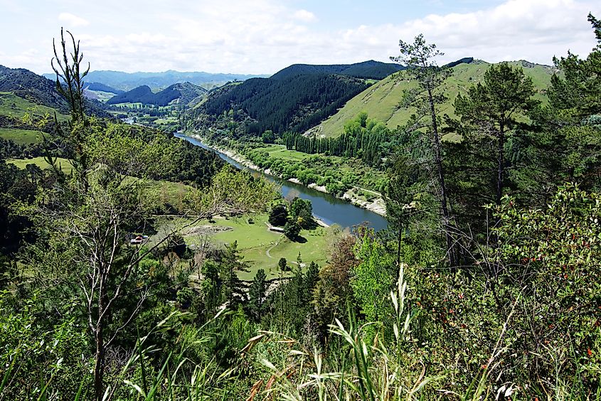 Whanganui river view